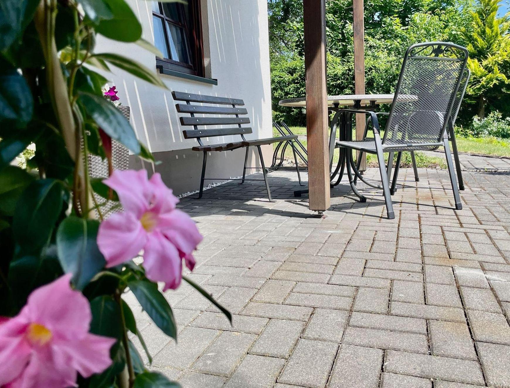 Ferienwohnung-Am-Suedhang Muglitztal Extérieur photo