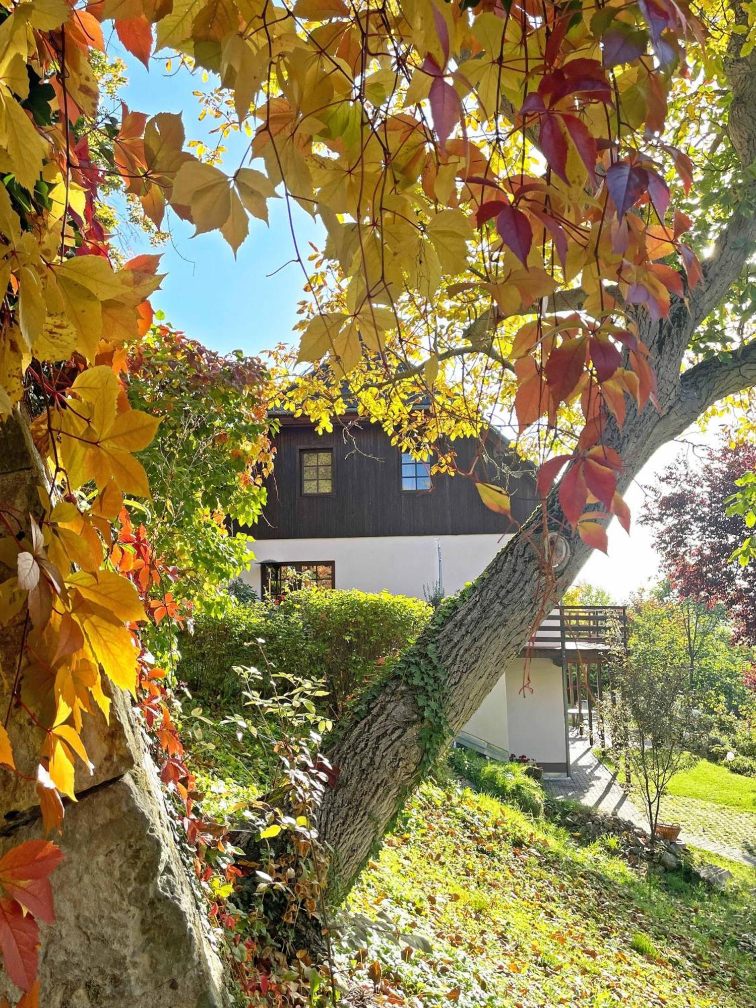 Ferienwohnung-Am-Suedhang Muglitztal Extérieur photo